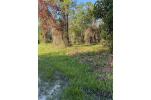 2366 DOGWOOD STREET, BUNNELL, FL 32110 Sold 07/17/25
