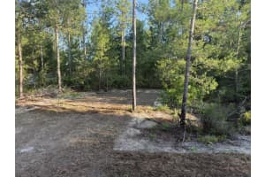 131 FRANKLIN DRIVE, HAWTHORNE, FL 32640 Sold 01/16/26