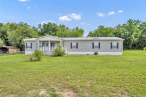 225 FOLKLORE DRIVE, SATSUMA, FL 32189 - MLS#MFRV4943574