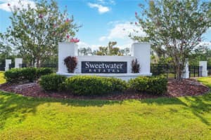 113 SPRING RISE CIRCLE, BUNNELL, FL 32110 - MLS#MFRV4943694