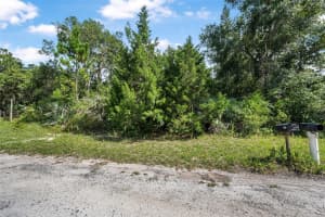 0 NO STREET NAME, OAK HILL, FL 32759 - MLS#MFRV4943752