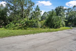 0 NO STREET NAME, OAK HILL, FL 32759 - MLS#MFRV4943752