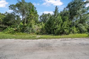 0 NO STREET NAME, OAK HILL, FL 32759 - MLS#MFRV4943752