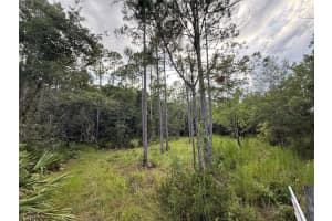 1505 COUNTY ROAD 13, BUNNELL, FL 32110 - MLS#MFRV4943765