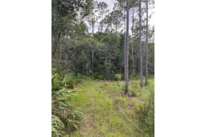 1505 COUNTY ROAD 13, BUNNELL, FL 32110 - MLS#MFRV4943765