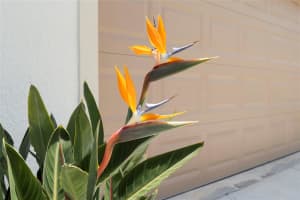 2144 CANOPY TERRACE BOULEVARD, DELAND, FL 32724 - MLS#MFRV4944034
