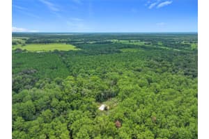 16303 75TH STREET, ARCHER, FL 32618 Sold 10/14/25