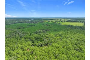 16303 75TH STREET, ARCHER, FL 32618 Sold 10/14/25