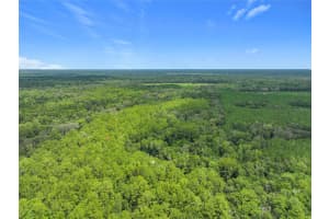 16303 75TH STREET, ARCHER, FL 32618 Sold 10/14/25