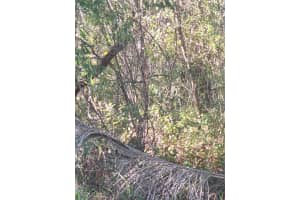 2751 KINGSDALE DRIVE, DELTONA, FL 32738 - MLS#MFRV4944117