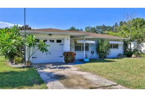 11 Swan, NEW SMYRNA BEACH