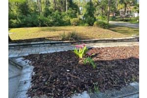 1659 11TH AVENUE, DELAND, FL 32724 Sold 08/29/25