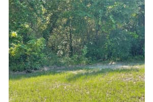 8538 KIMBERLY COURT, HOMOSASSA, FL 34448 - MLS#MFRV4944308