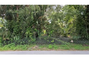 2929 WOODLAND DRIVE, EDGEWATER, FL 32141 - MLS#MFRV4944445