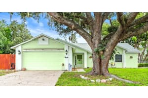 2893 Maldive Ct, DELTONA