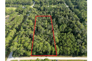 5003 WILLOW LANE, BUNNELL, FL 32110 - MLS#MFRV4944550
