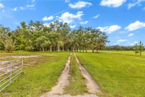 6750 SAN JUAN TERRACE, CRYSTAL RIVER, FL 34428 - MLS#MFRV4944598
