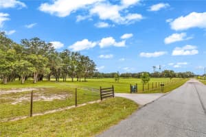 6750 SAN JUAN TERRACE, CRYSTAL RIVER, FL 34428 - MLS#MFRV4944598