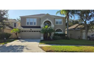 20213 STILL WIND DRIVE, TAMPA, FL 33647 - MLS#MFRV4944633