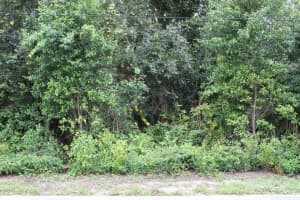 510 FRED GAMBLE WAY, ORMOND BEACH, FL 32174 - MLS#MFRV4944654