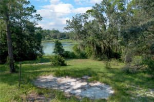 31725 SPRUCE DRIVE, EUSTIS, FL 32727 - MLS#MFRV4944676