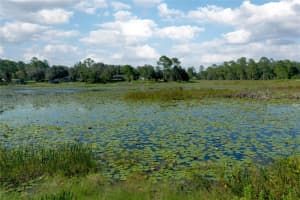 31725 SPRUCE DRIVE, EUSTIS, FL 32727 - MLS#MFRV4944676