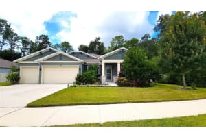 493 Nowell Loop, DELAND