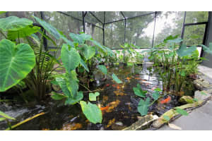 493 NOWELL LOOP, DELAND, FL 32724 - MLS#MFRV4944708