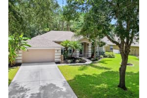 31 Circle Creek Way, ORMOND BEACH