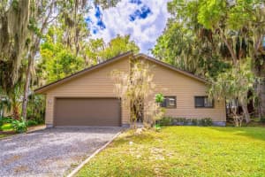 121 LAKE GEORGE DRIVE, GEORGETOWN, FL 32139 - MLS#MFRV4944760