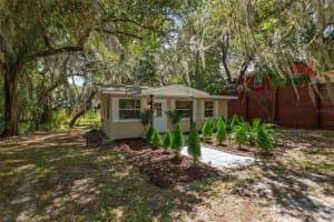 111 2ND STREET, MELROSE, FL 32666 - MLS#MFRV4944786