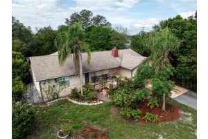 805 Sylvia, DELTONA