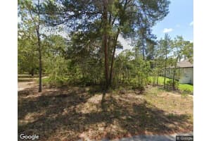 10 DRACAENA COURT, HOMOSASSA, FL 34446 - MLS#MFRV4944827