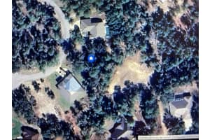 10 DRACAENA COURT, HOMOSASSA, FL 34446 - MLS#MFRV4944827