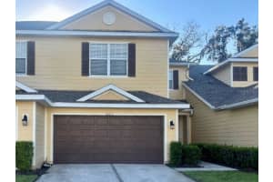 20112 Indian Rosewood Dr, TAMPA