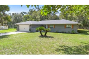 659 OHIO AVENUE, LAKE HELEN, FL 32744 - MLS#MFRV4944950
