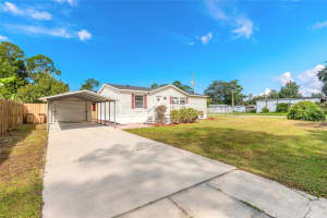 55721 PALMETTO ROAD, ASTOR, FL 32102 - MLS#MFRV4945100
