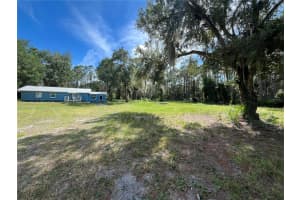 123 LINDERWOOD DRIVE, GEORGETOWN, FL 32139 - MLS#MFRV4945105