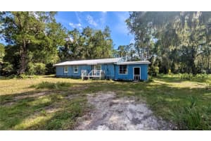 123 LINDERWOOD DRIVE, GEORGETOWN, FL 32139 - MLS#MFRV4945105