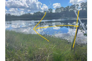 42318 LAKE ROAD, DELAND, FL 32720 - MLS#MFRV4945125