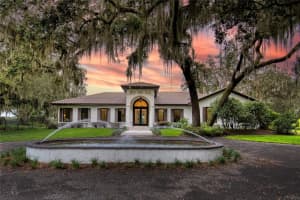4885 STATE ROAD 11, DE LEON SPRINGS, FL 32130 - MLS#MFRV4945297