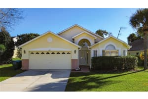 2949 Wildpepper Ave, DELTONA
