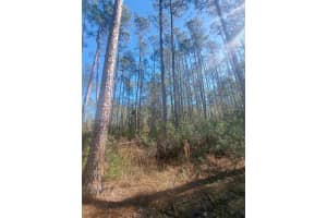 5146 LIME AVENUE, BUNNELL, FL 32110 - MLS#MFRV4945427