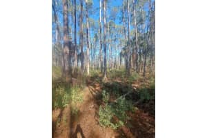 5146 LIME AVENUE, BUNNELL, FL 32110 - MLS#MFRV4945427