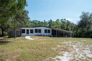47110 CENTRAL AVENUE, PAISLEY, FL 32767 - MLS#MFRV4945471