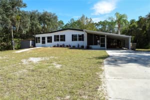47110 CENTRAL AVENUE, PAISLEY, FL 32767 - MLS#MFRV4945471