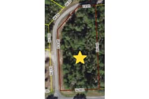 MARION OAKS LANE, OCALA, FL 34473 - MLS#MFRV4945531