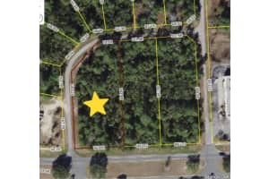 MARION OAKS LANE, OCALA, FL 34473 - MLS#MFRV4945531