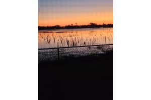 2893 MALDIVE COURT, DELTONA, FL 32738 - MLS#MFRV4945660