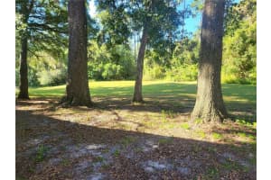 908 OAKWOOD COVE, ALTAMONTE SPRINGS, FL 32714 - MLS#MFRV4945715